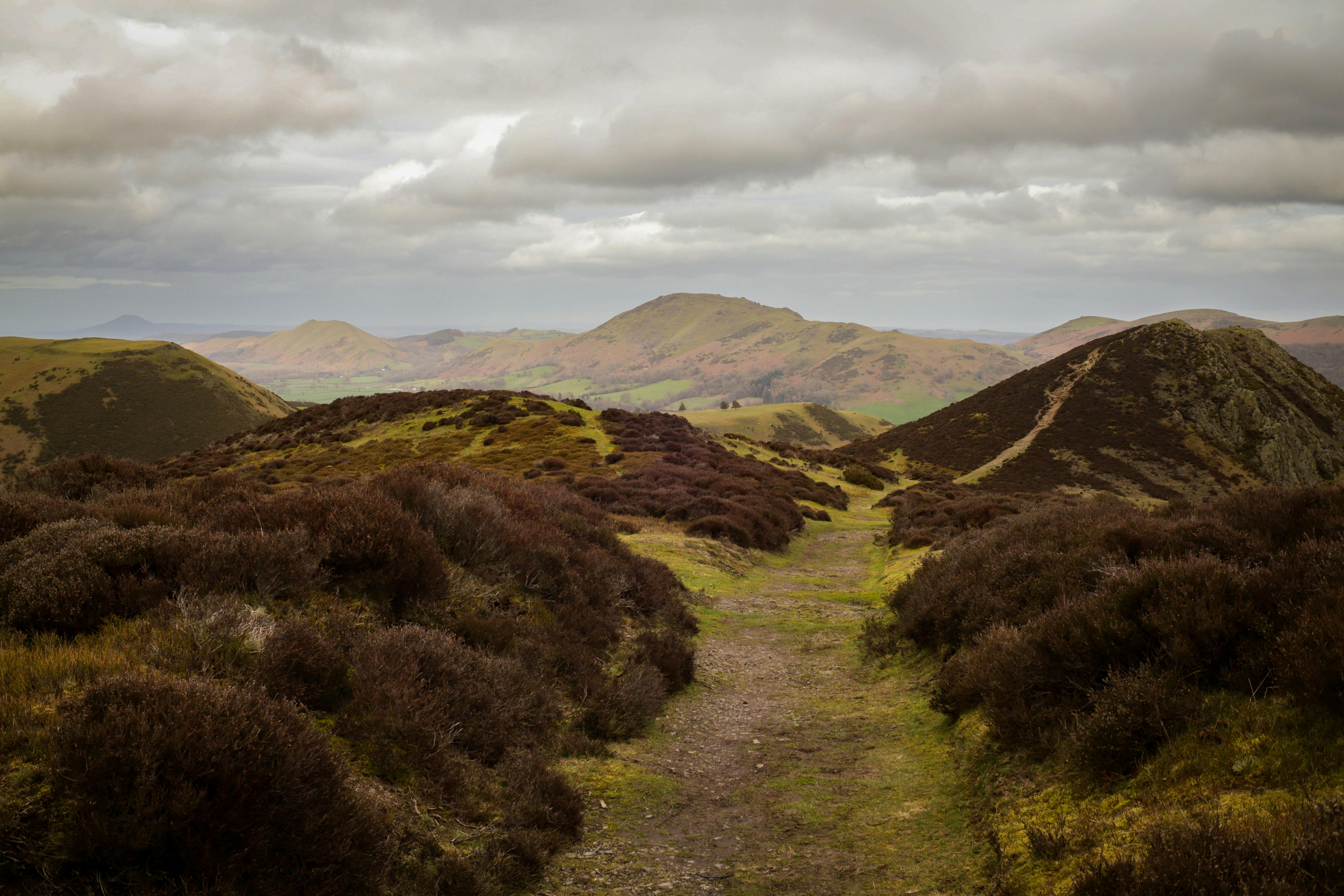 Tranquil footpath winding through the picturesque landscape of Clun, England. Perfect for nature enthusiasts.
