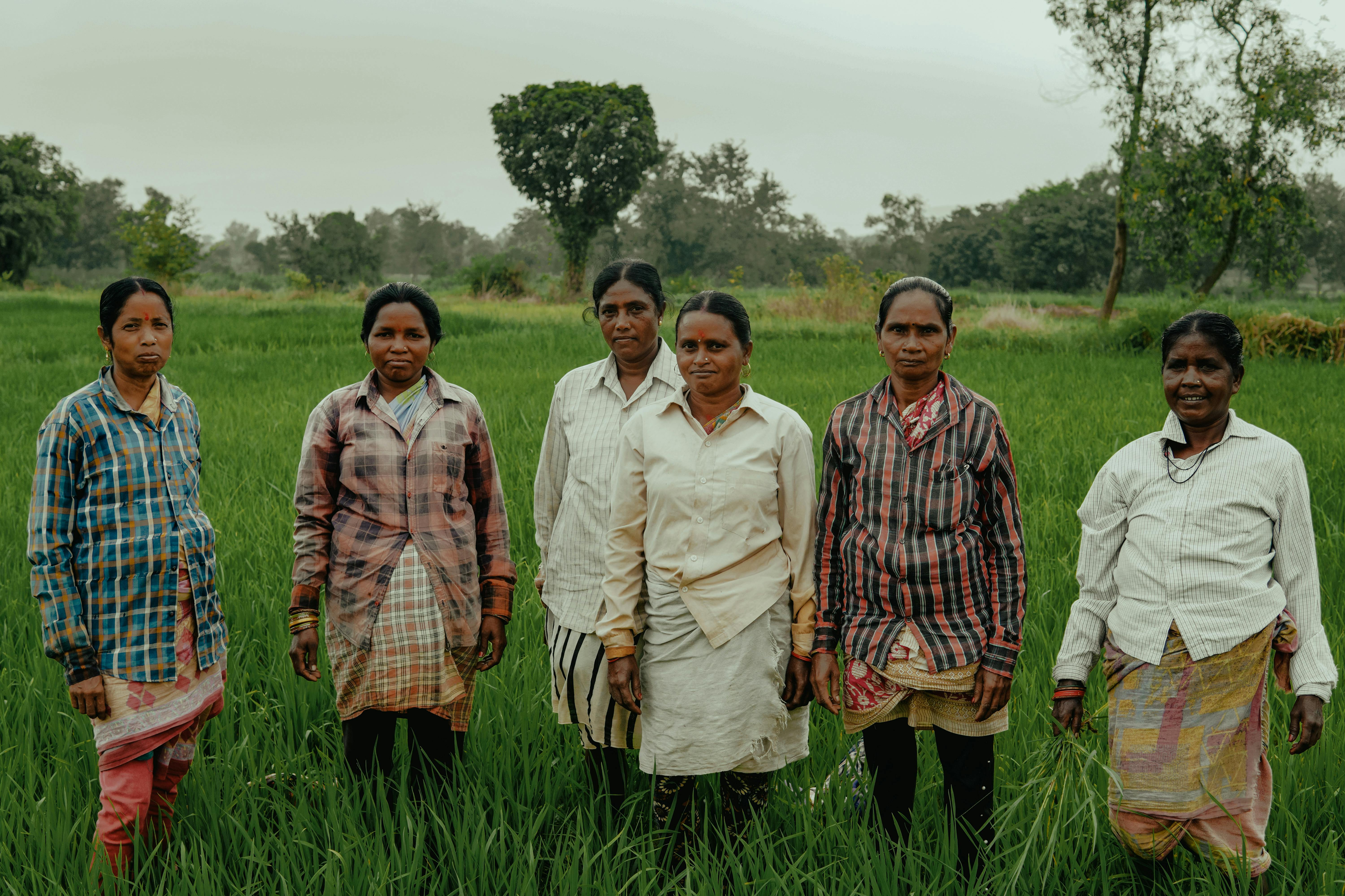 Year-end financial planning for farmers — Photo by RASIK MOHAN MUNDA on Pexels