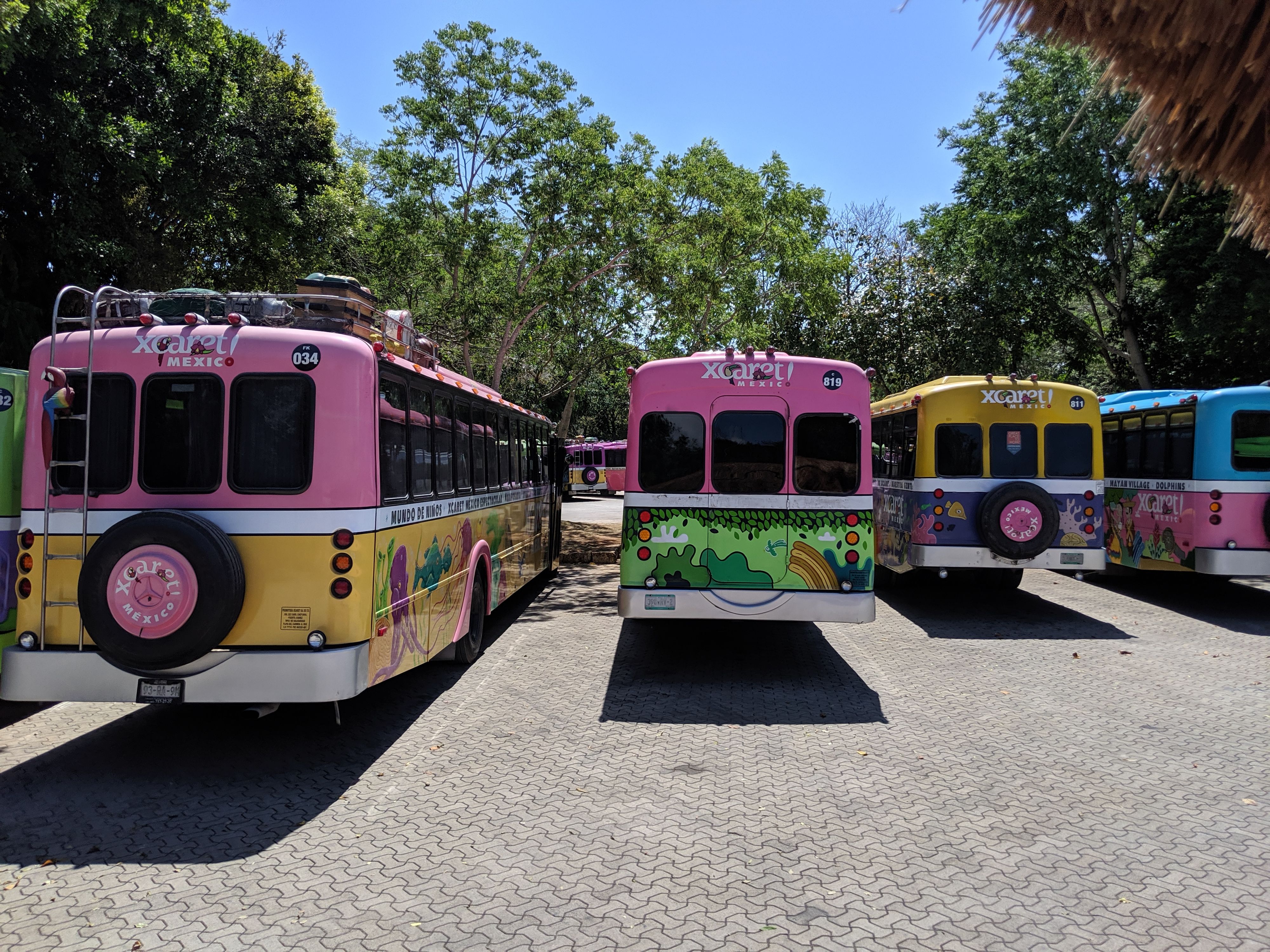 Colorful excursion shuttles and buses parked under trees in Playa del Carmen, Mexico