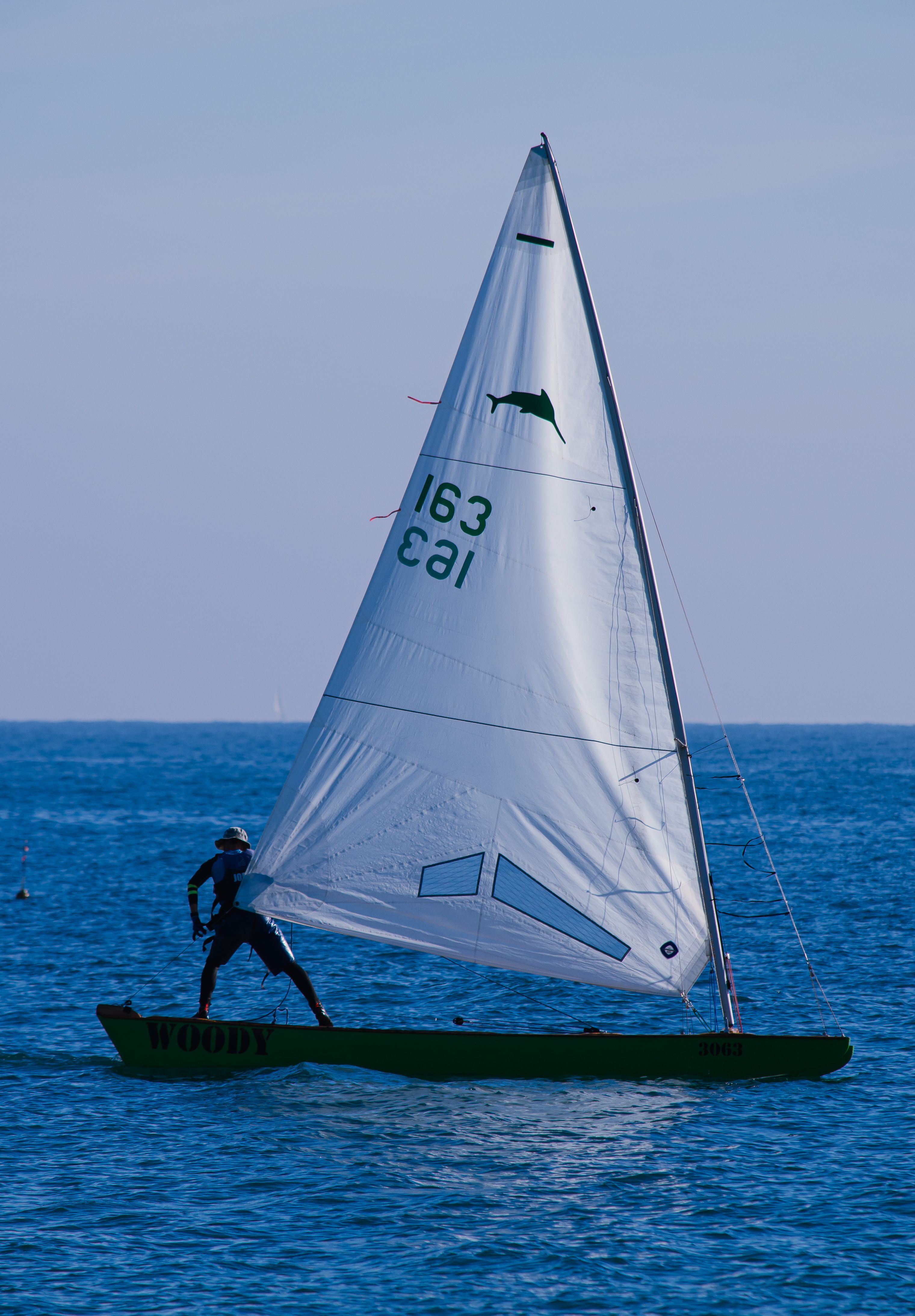 A man skillfully navigates a Cal 163 sailboat under bright sunlight on the ocean.