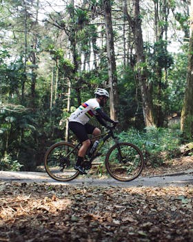 Mountain biker in sportswear cycling through lush forest trail on a sunny day.