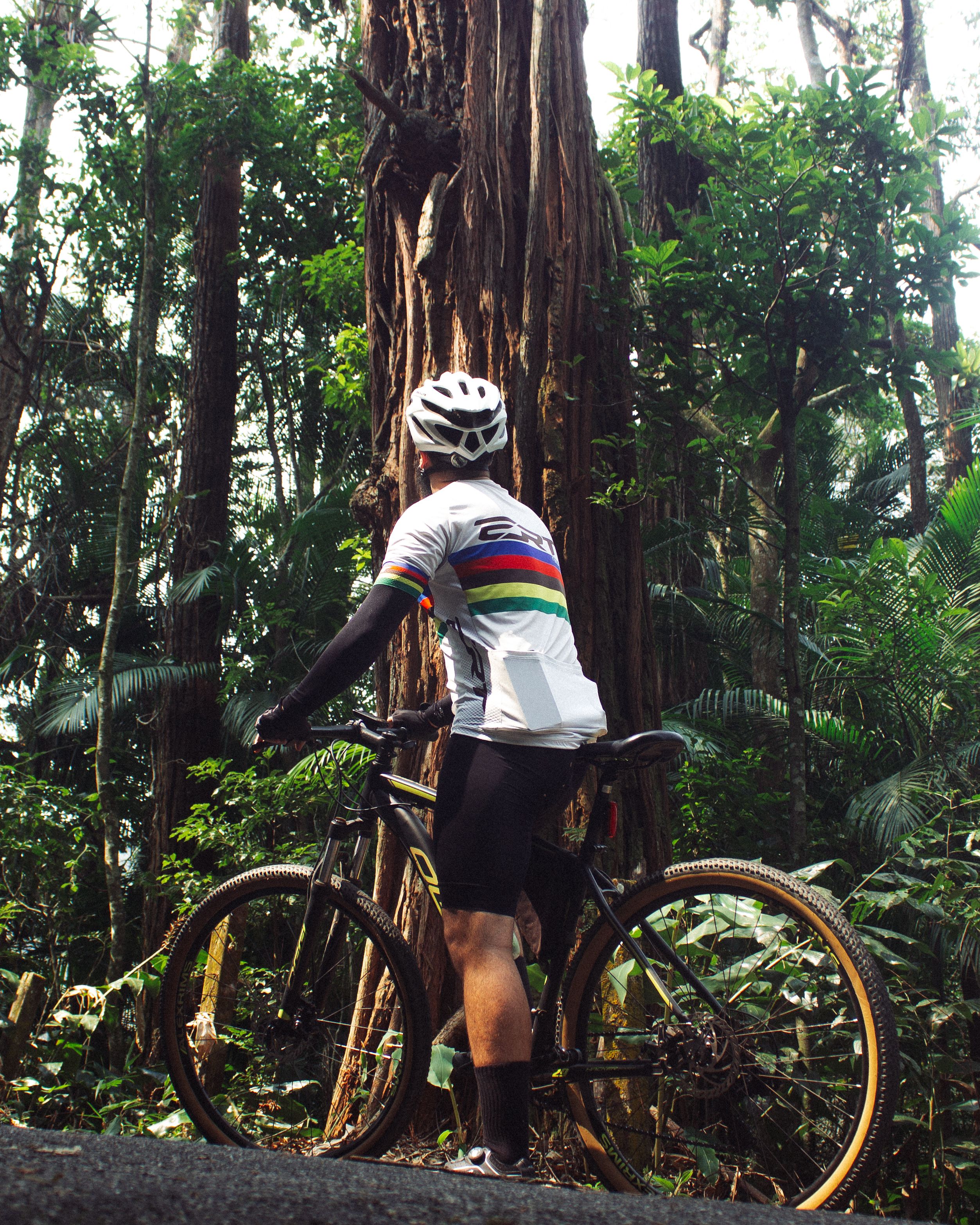 A Man Riding a Bicycle in a Forest · Free Stock Photo