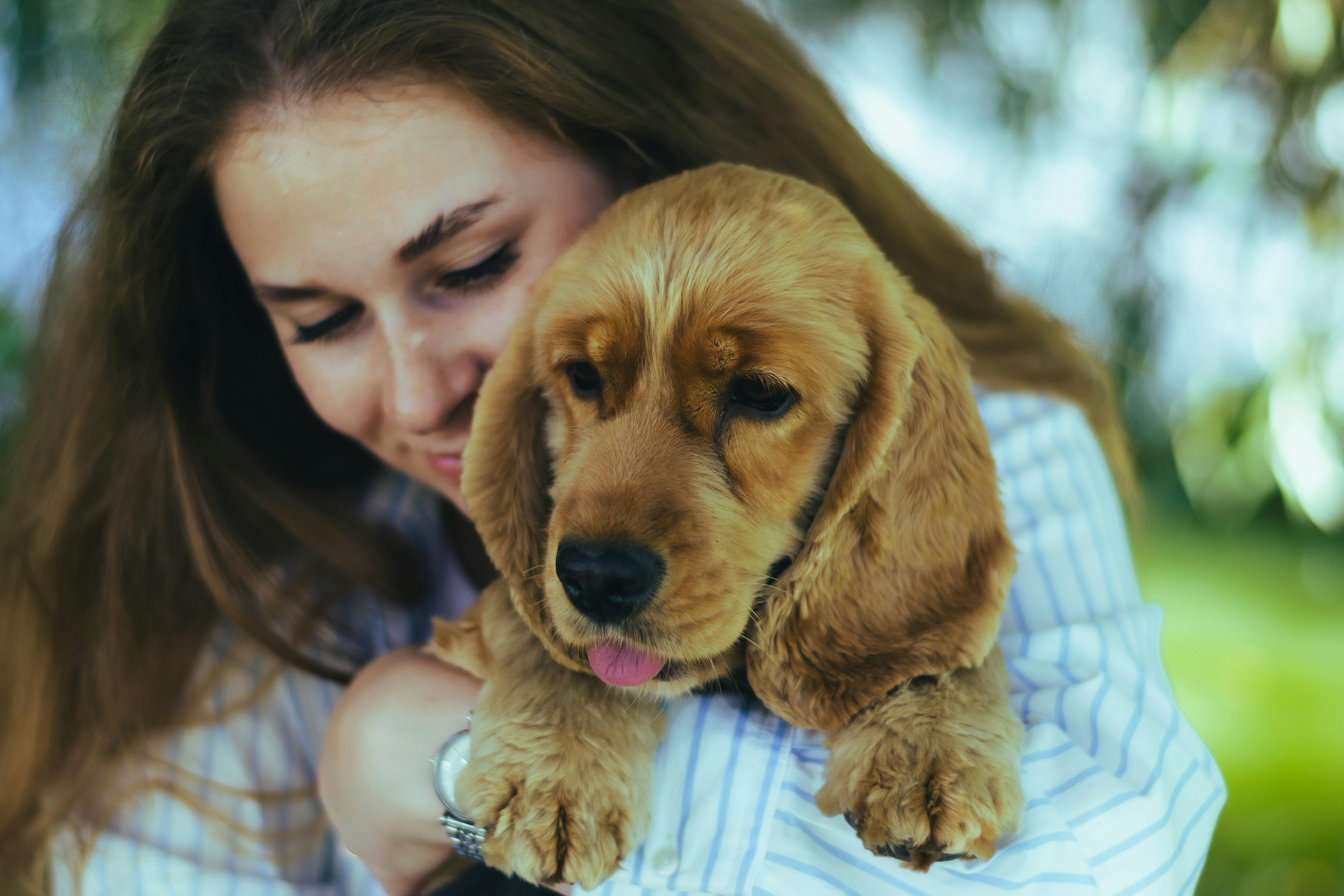 pet insurance pet wellness — Photo by Ann Bugaichuk on Pexels