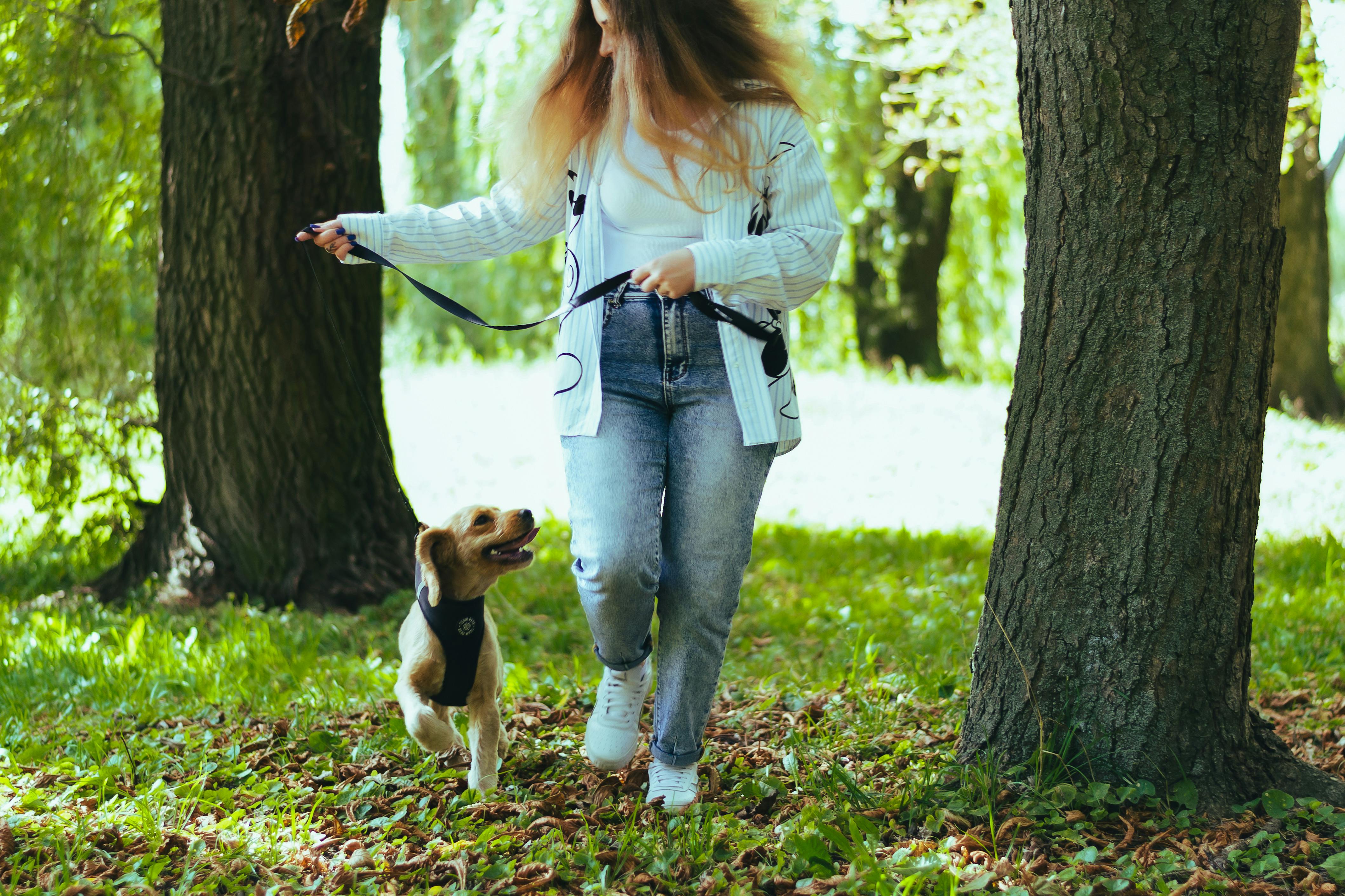 pet lifestyle more lifestyle pets — Photo by Ann Bugaichuk on Pexels