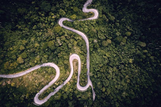 Stunning birds-eye view of a winding road cutting through lush forest in Kaki Bukit, Malaysia.