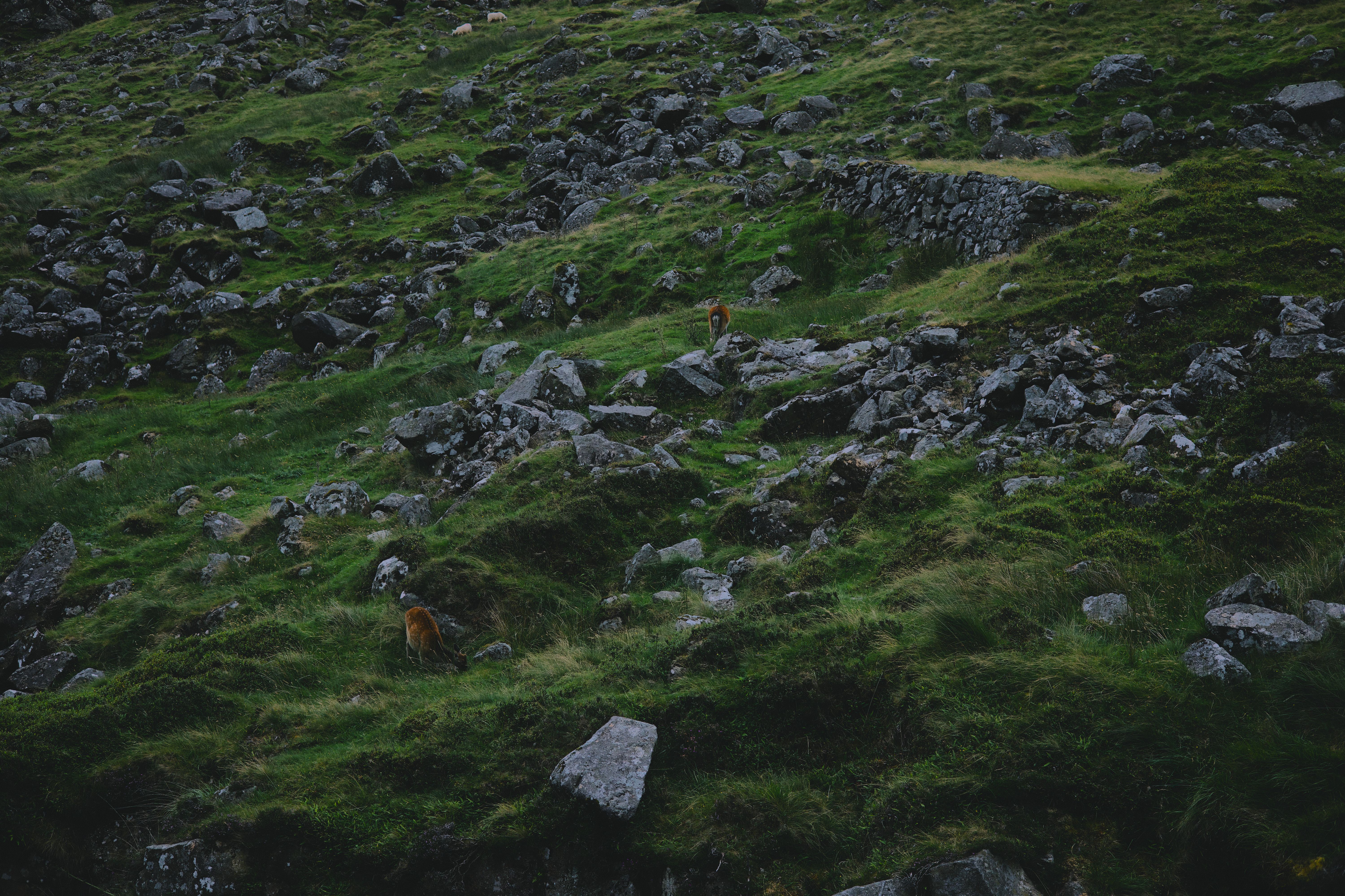 Photo of Ireland