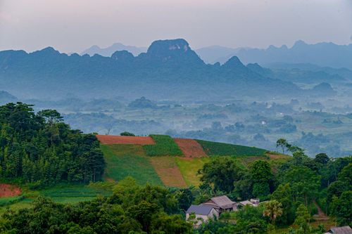 Free A breathtaking view of farmland against misty mountains and lush greenery at dusk. Stock Photo