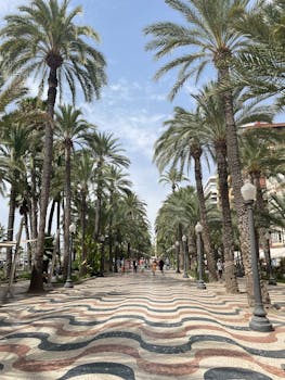 Charming promenade with palm trees and people, perfect for a summer stroll in Alicante, Spain.