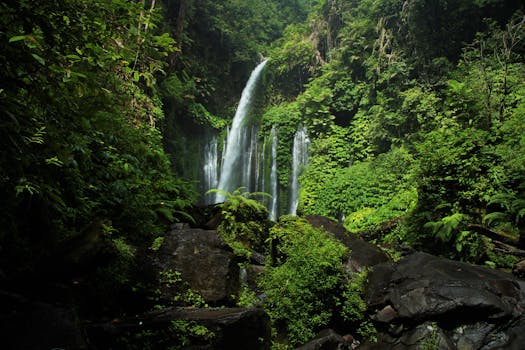 Tiu Kelep Waterfall cascades through lush forest in West Nusa Tenggara, Indonesia.
