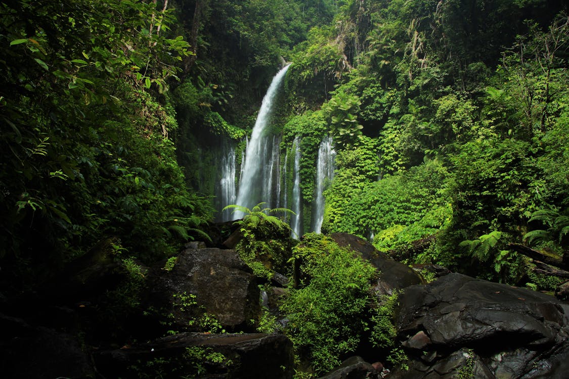 Бесплатное стоковое фото с водопад, горы, джунгли