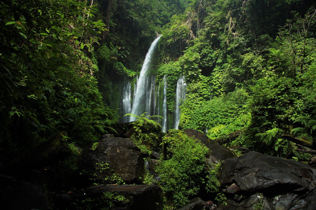 Waterfall Tour