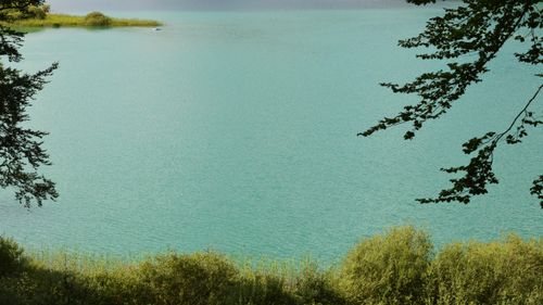 Free Peaceful lake surrounded by lush greenery in Le Frasnois, Bourgogne-Franche-Comté, France. Stock Photo