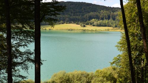 Free Peaceful and scenic landscape of Le Frasnois lake surrounded by lush trees and hills. Stock Photo