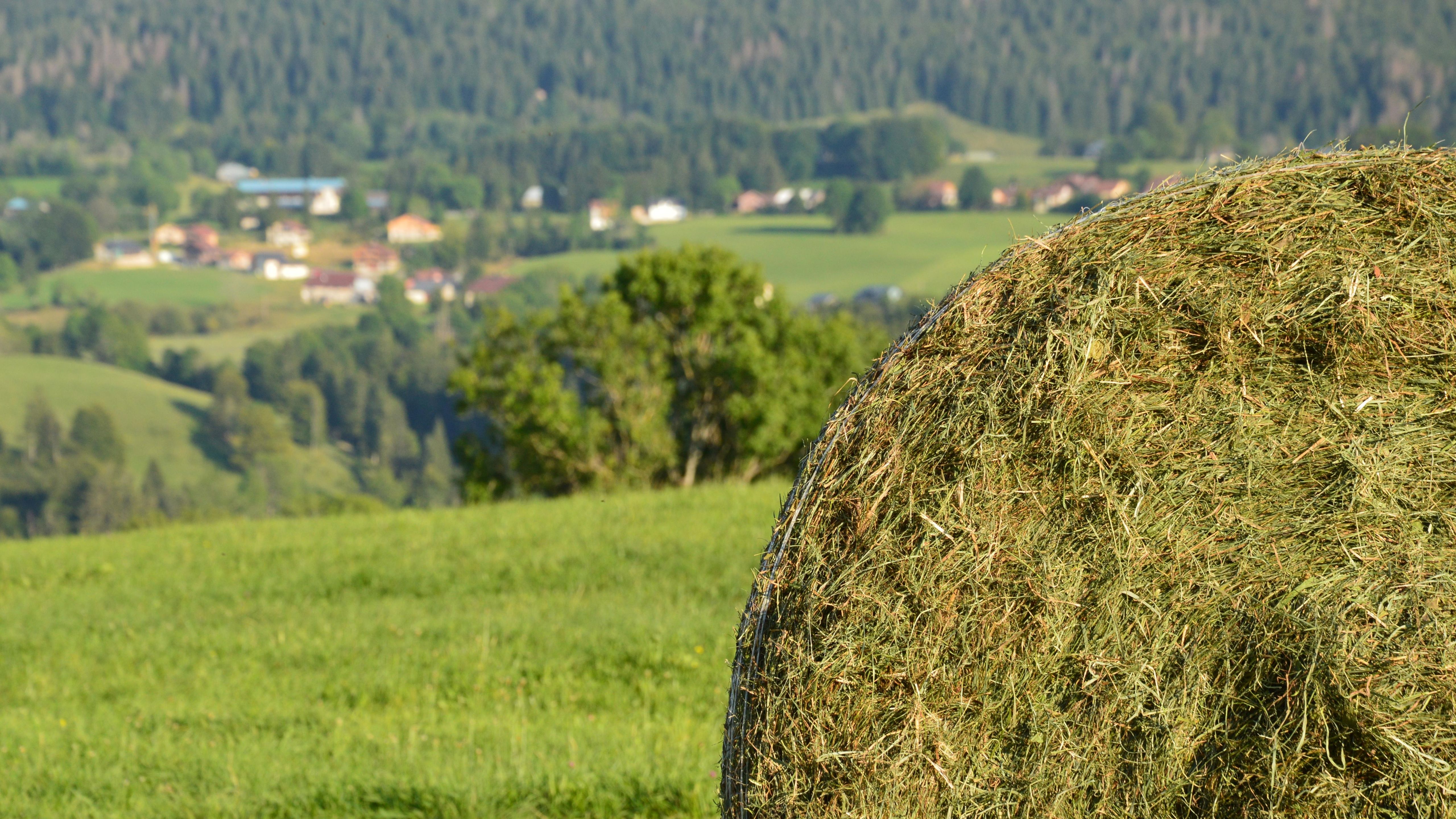 A large bale of hay sitting in a field · Free Stock Photo