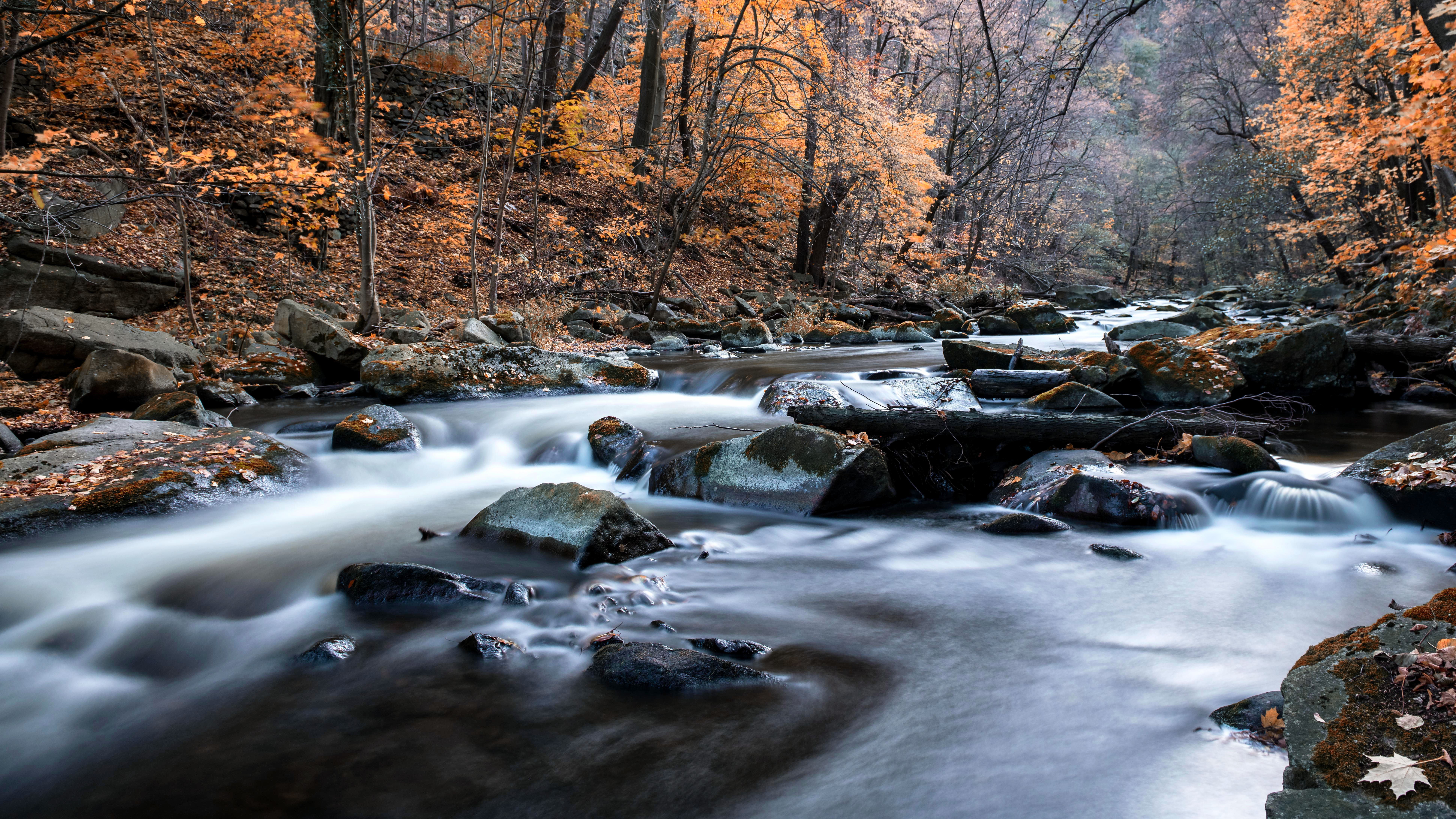CHERRY CREEK: A Family's Journey from Ireland to Ohio