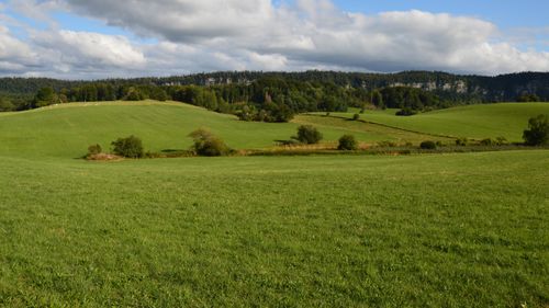 Free A serene landscape of rolling green hills and trees beneath a partly cloudy sky. Stock Photo