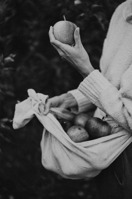 Black and white photo of a person holding freshly picked apples, capturing autumn's essence.