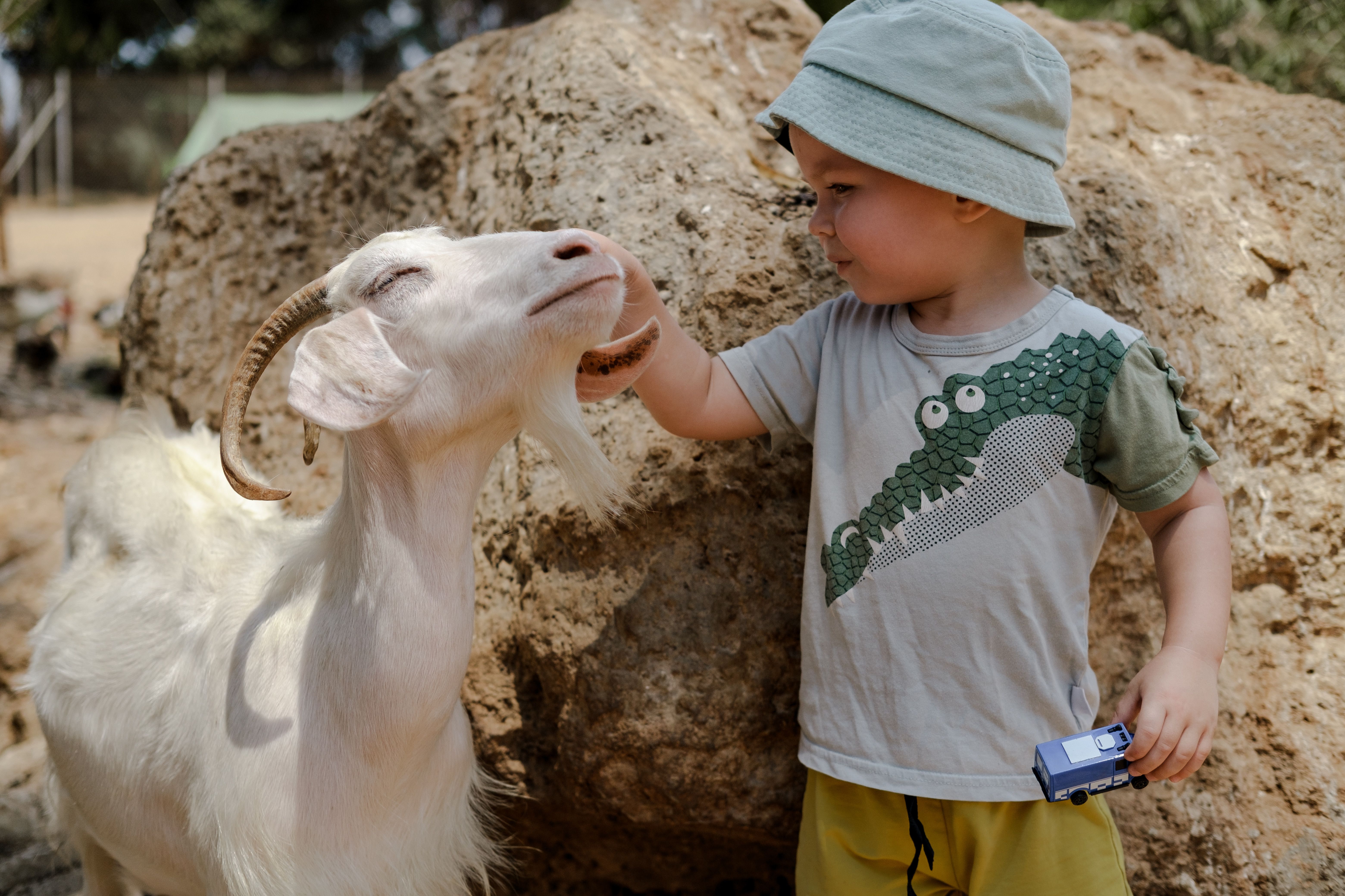 Tierpark Basel: Die besten Tierparks für Familien