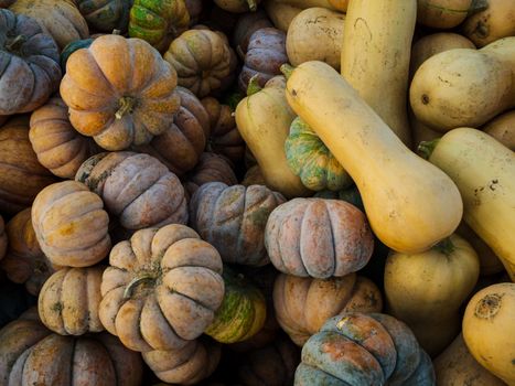 Pile of colorful gourds and pumpkins perfect for fall, Halloween, or Thanksgiving decoration.