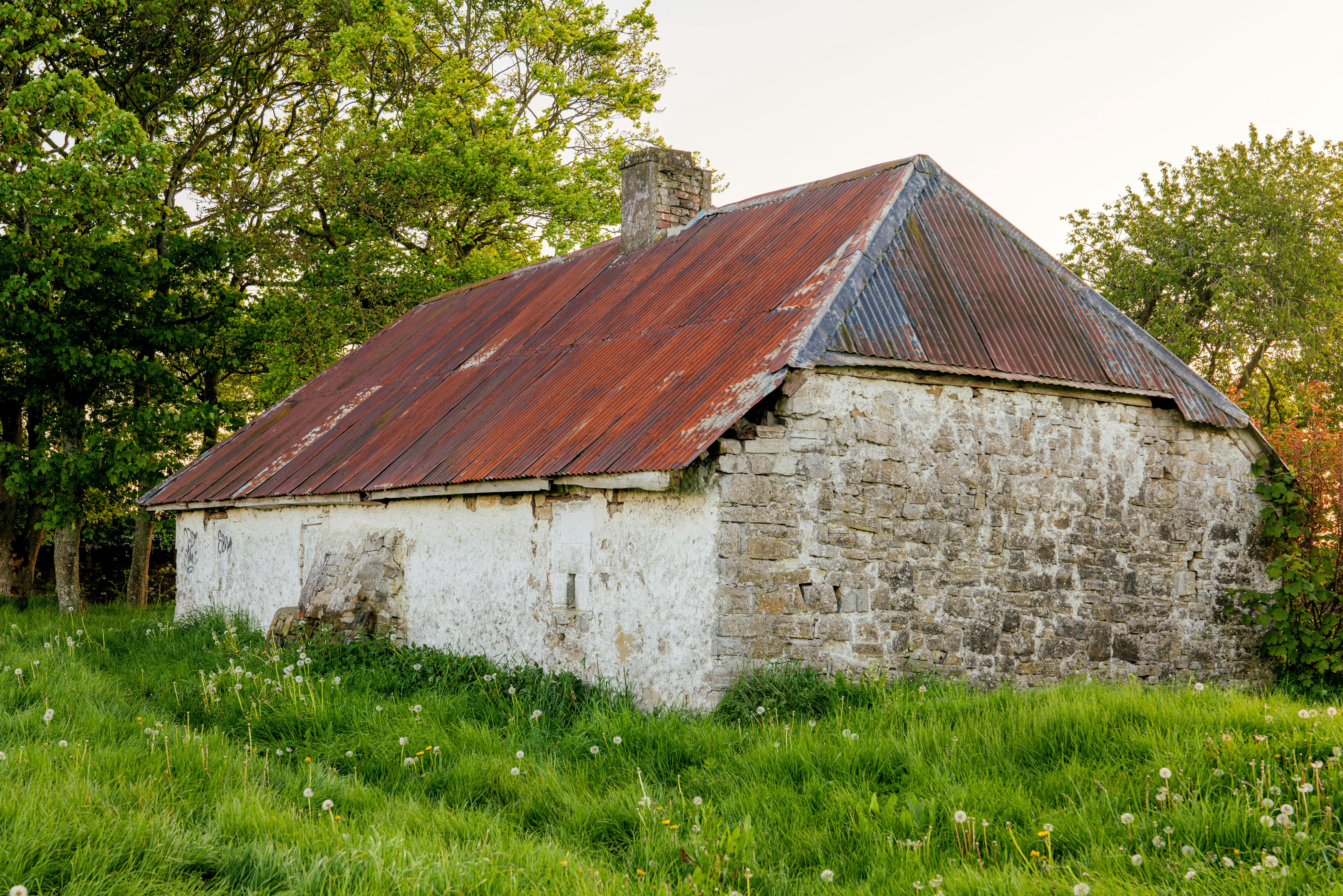 Aramark Ireland Wins Property Management Team of the Year Award — Photo by PROSPER MBEMBA KOUTIHOU on Pexels