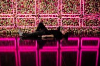 一名男子躺在反光地板上，面前是一堵由百叶窗灯光映照出的绚丽花墙