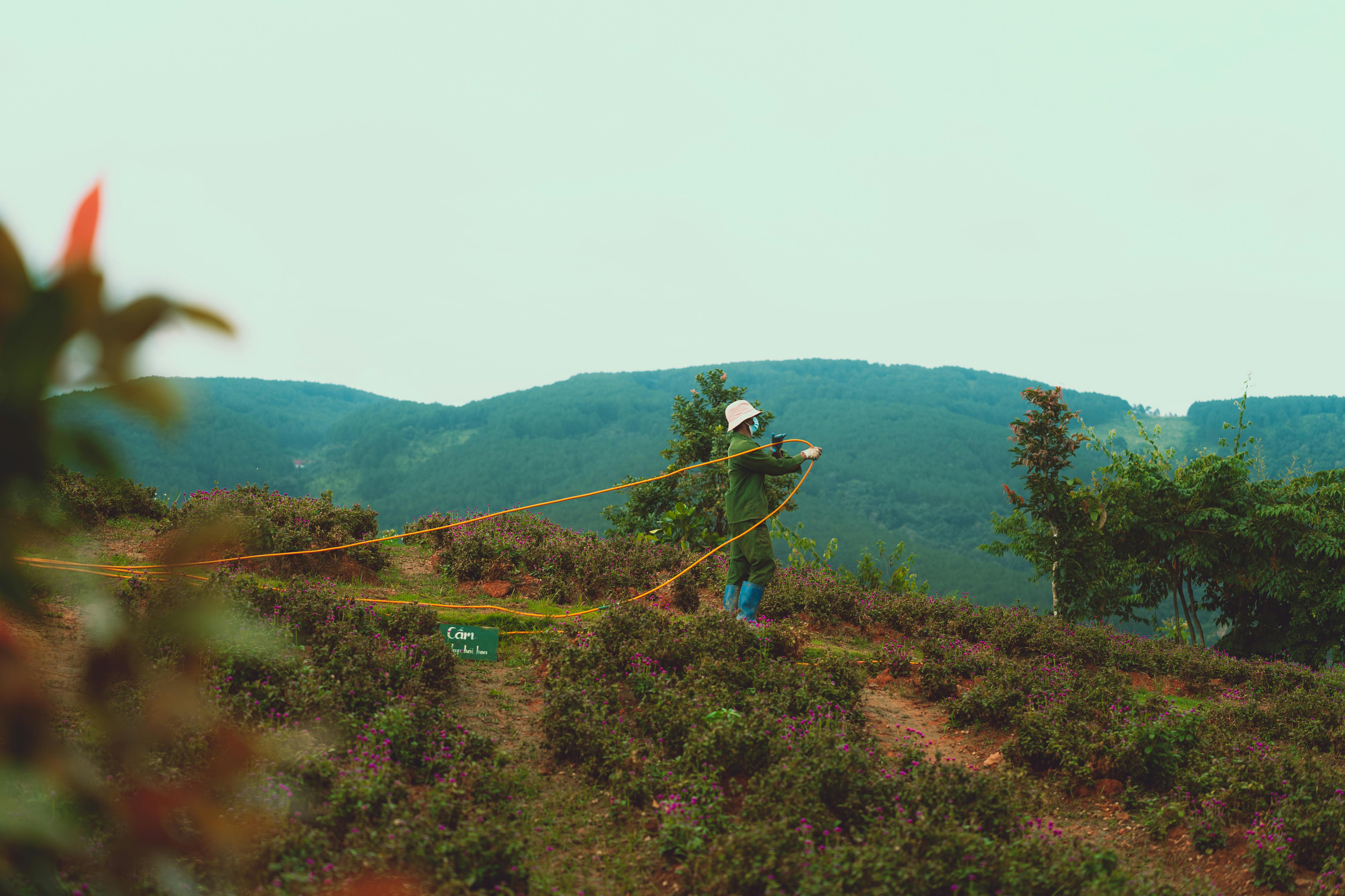 gardening hoe — Photo by Theodore Nguyen on Pexels