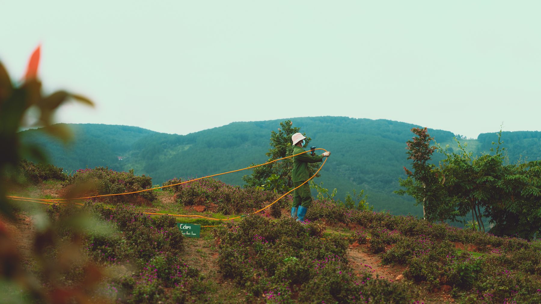 Dalat, वियतनाम में पहाड़ियों पर काम करता एक किसान, पृष्ठभूमि में जीवंत हरियाली और पहाड़ियाँ।