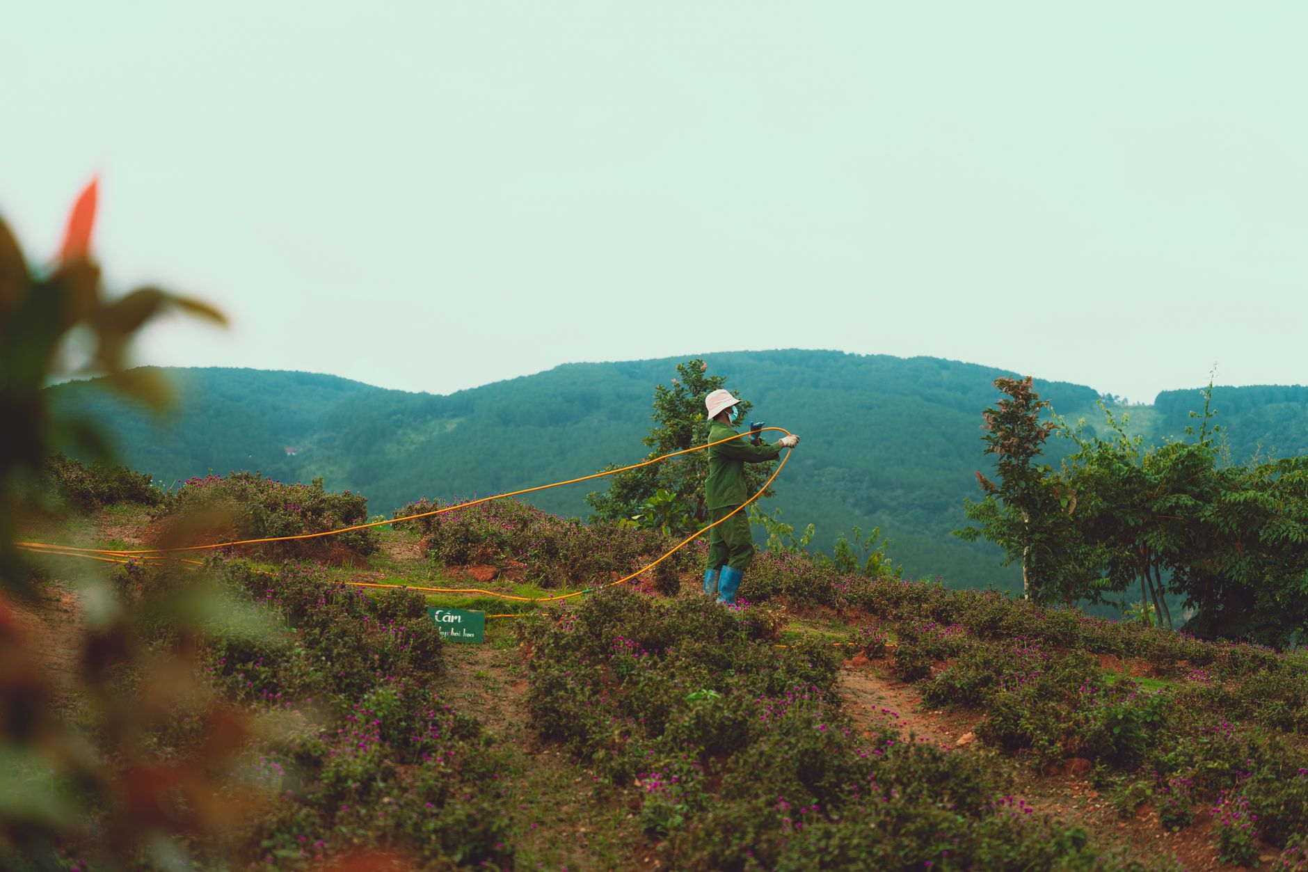 A farmer working on a hillside in Dalat, Vietnam, with vibrant greenery and hills in the background.