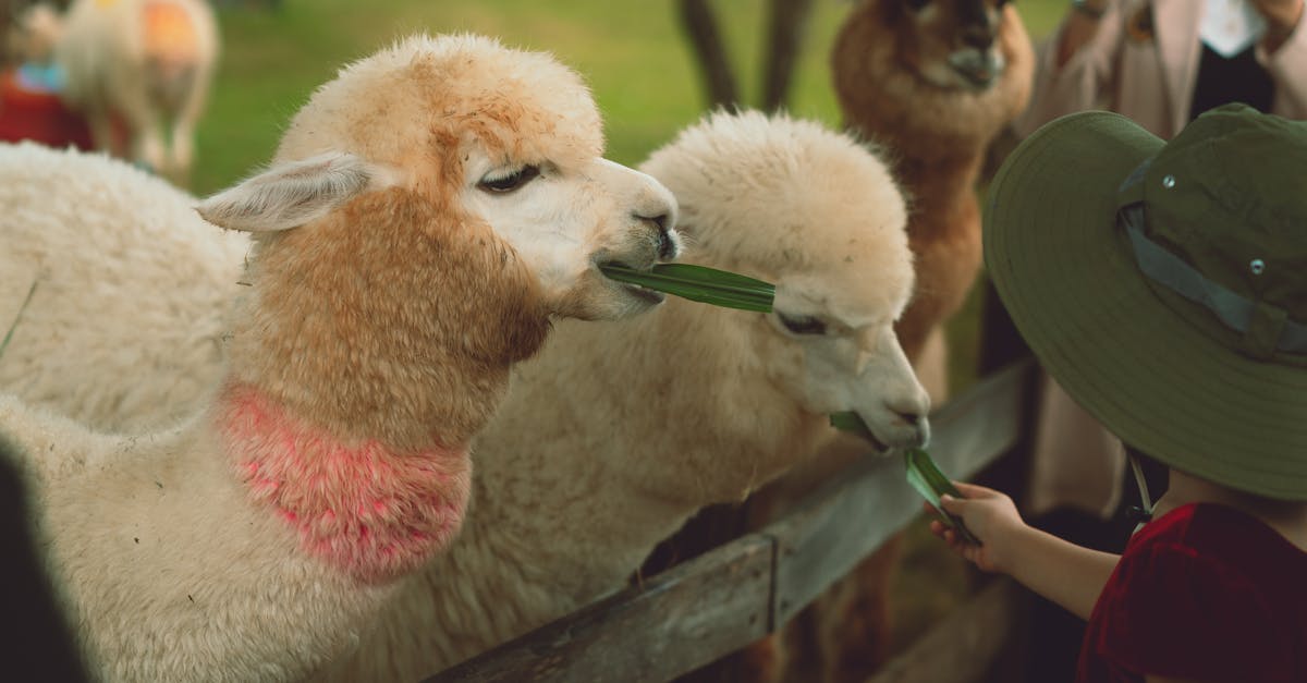 往美出發 葡食生活節 六大社區邀你共創農遊新體驗