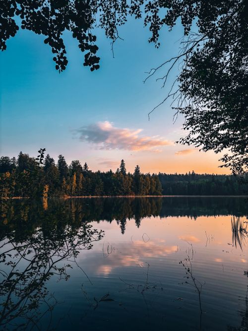 Free Peaceful sunset view over a forest lake in Grand Est, France, with reflections and serene atmosphere. Stock Photo