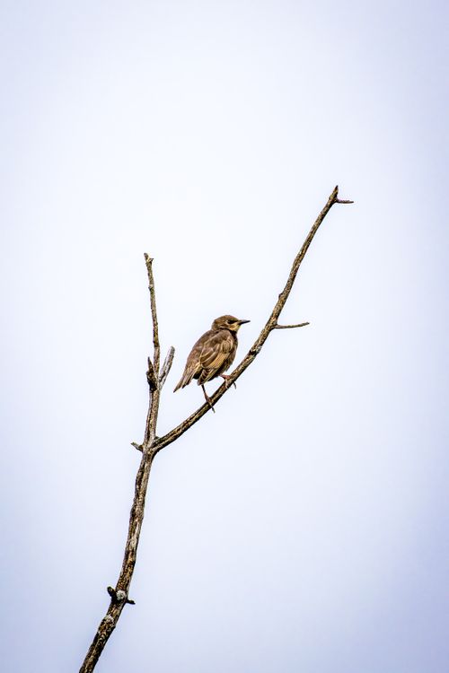 Free Alone Stock Photo