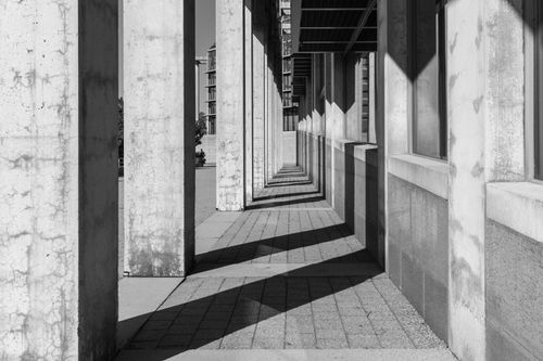 Free Black and white image of concrete columns casting dramatic shadows in urban landscape. Stock Photo