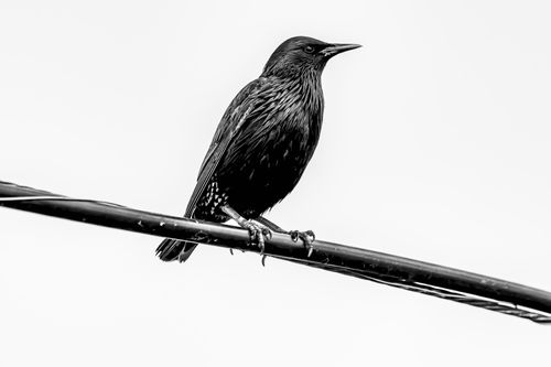 Free Alone II Stock Photo