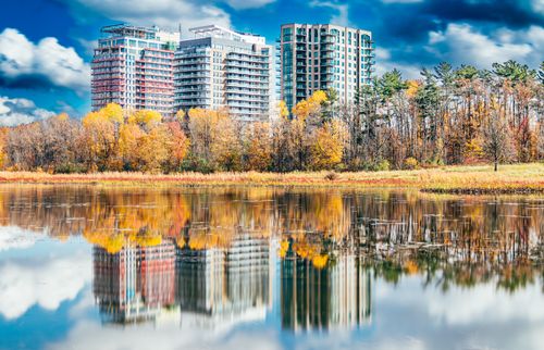 Free Mirror Stock Photo