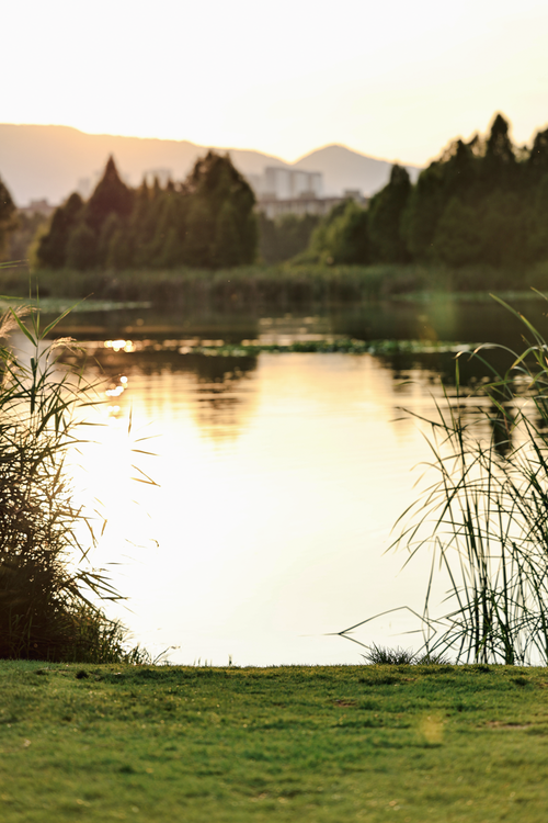 Free Peaceful lake landscape with sunset reflection and silhouetted trees, evoking serenity. Stock Photo