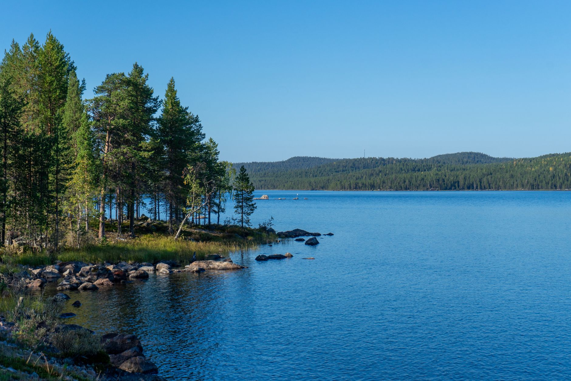 Tranquil scene of a calm lake surrounded by lush pine forests in Norway, ideal for nature lovers.