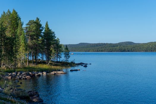 Tranquil scene of a calm lake surrounded by lush pine forests in Norway, ideal for nature lovers.