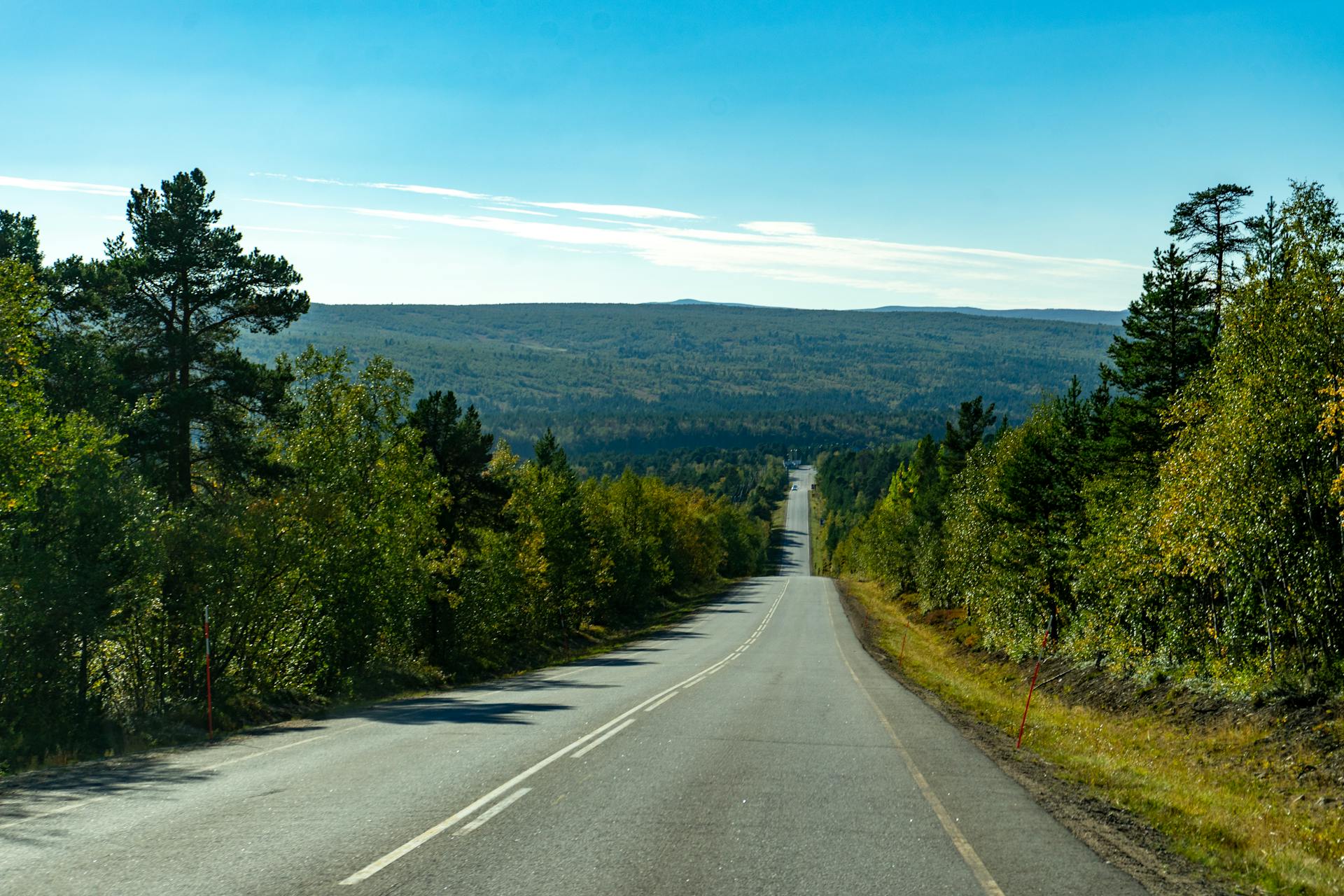 A tranquil highway cutting through lush forests in the Finnish countryside, perfect for road trips.