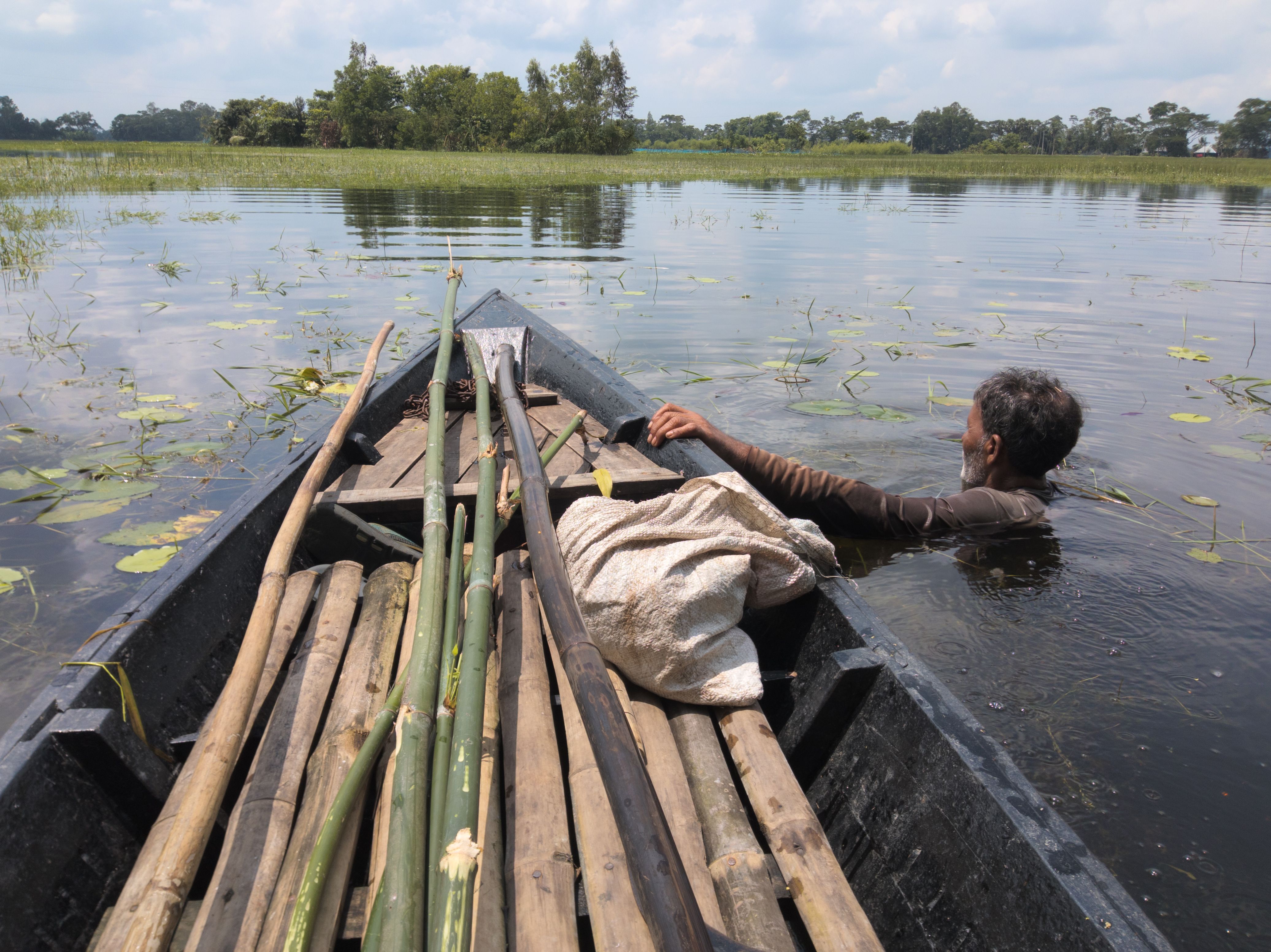 A fisherman uses a canoe in a flooded wetland region, surrounded by lush greenery.