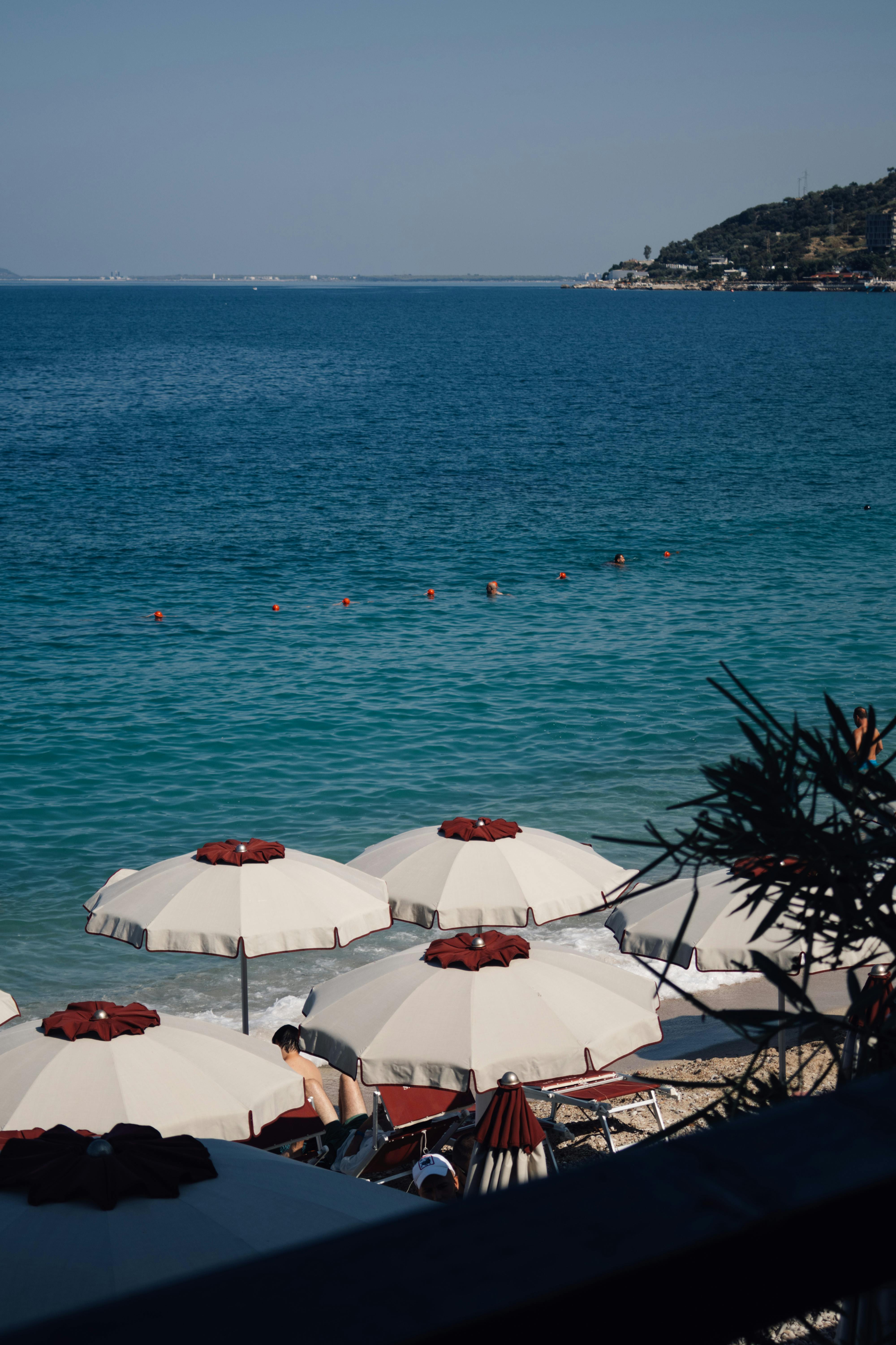 Vlore Poen Photos Download The BEST Free Vlore Poen Stock Photos HD Vlore Poen Photos Download The BEST Free Vlore Poen Stock Photos HD