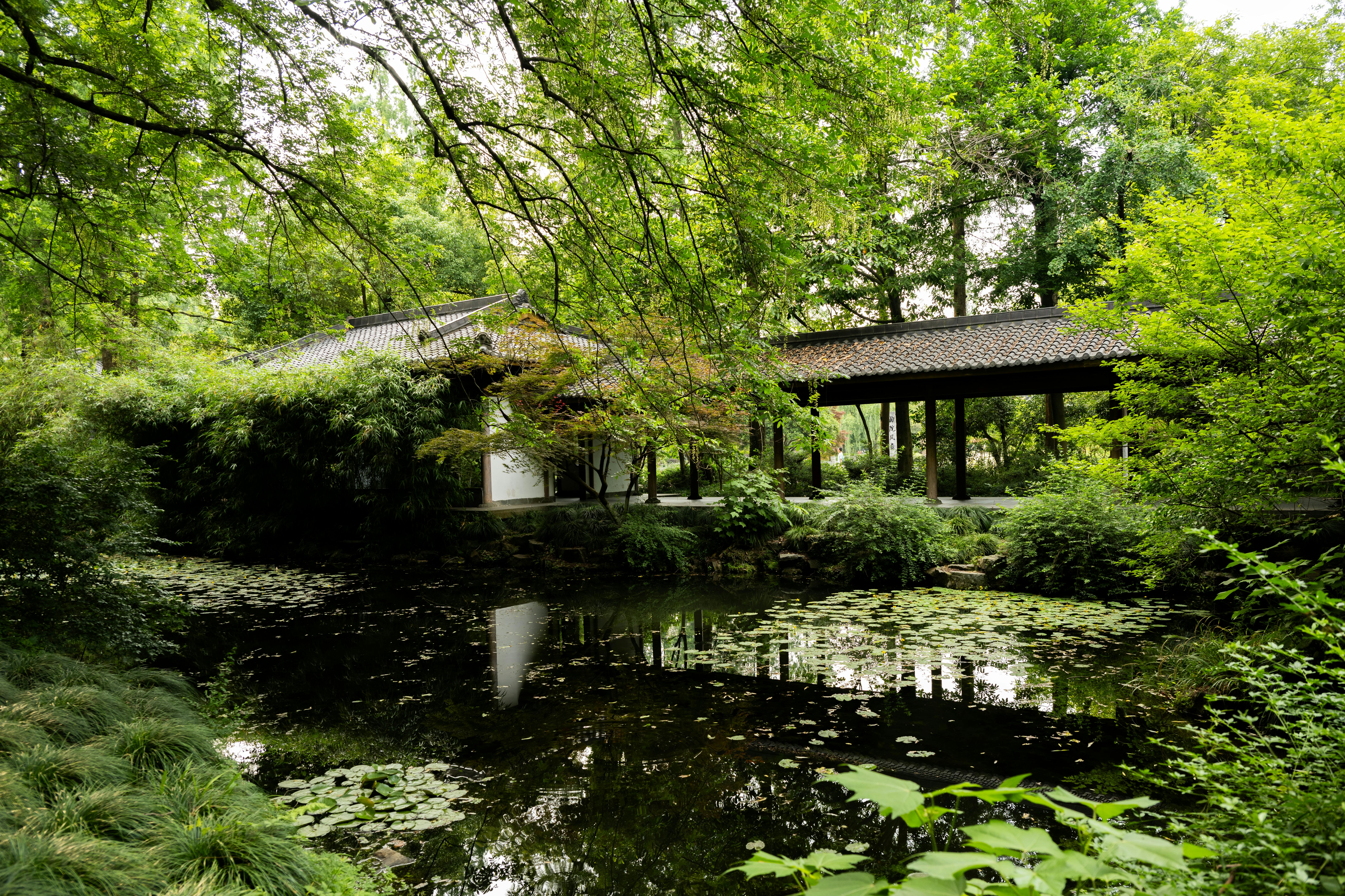 Photo by Q L on Pexels