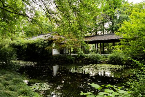 Free A serene Asian garden scene featuring a traditional bridge and a reflective pond. Stock Photo