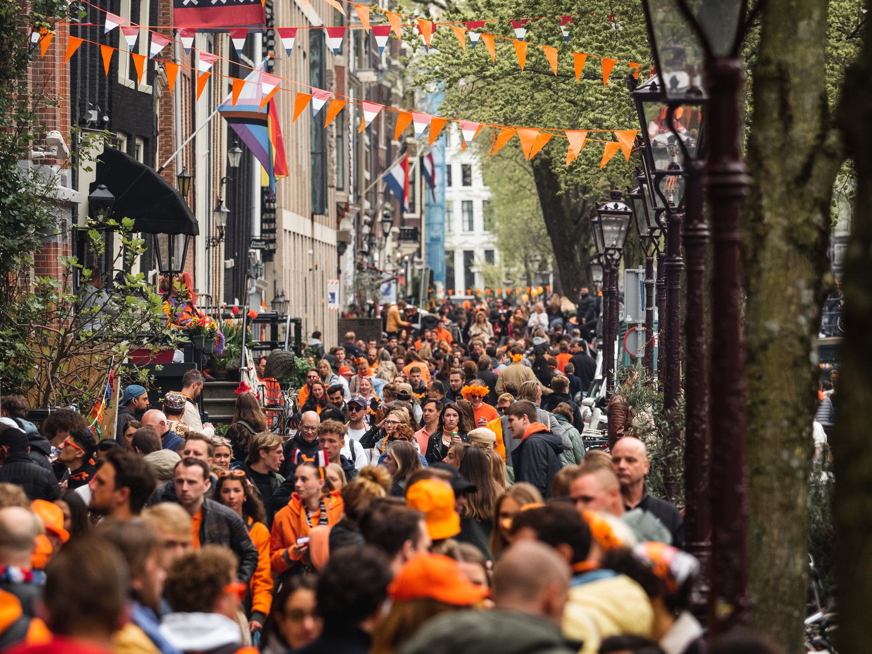 Amsterdam'da bir müzik festivalinde kalabalık