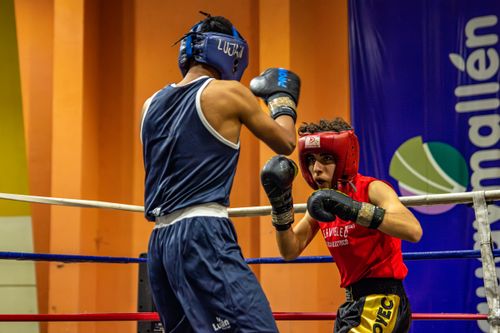 Gratuit Photos gratuites de action sportive, allumette, arène intérieure Photos