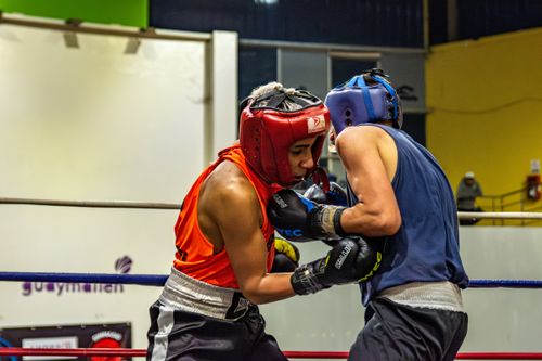 Gratuit Photos gratuites de #intérieur, action, action de boxe Photos