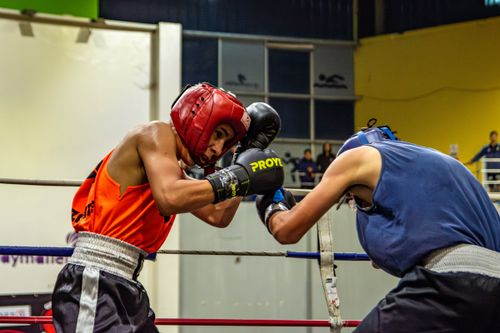 Gratuit Photos gratuites de action de boxe, arts martiaux, athlètes Photos