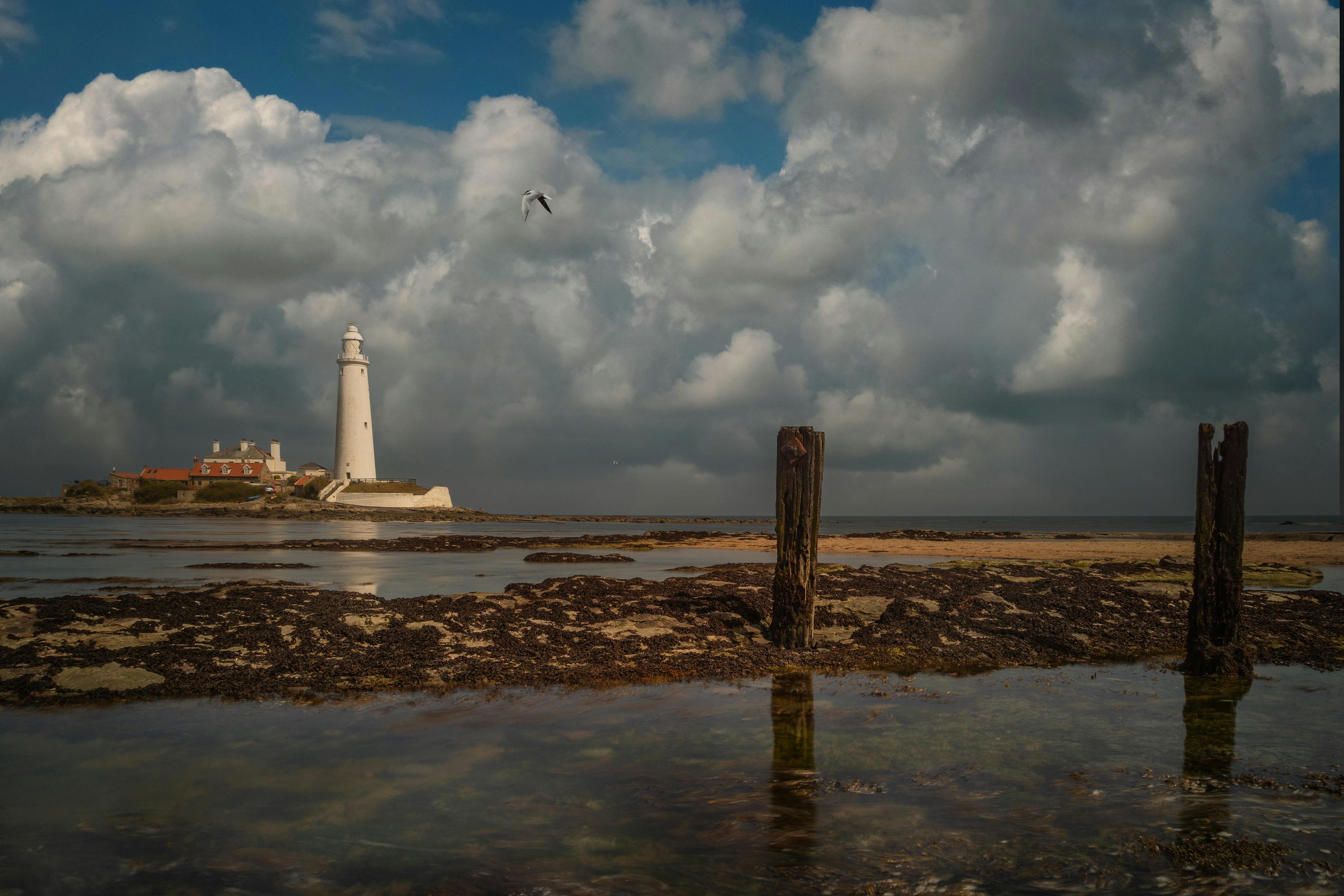 Rose Island Lighthouse trust launches executive director search ahead of milestone 2026 season — Photo by Ray Bilcliff on Pex