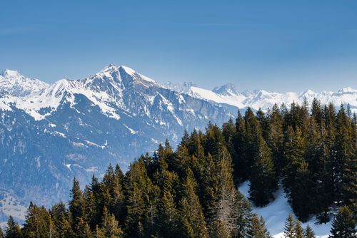 Free Breathtaking view of snow-capped mountains and evergreen forests in winter. Stock Photo
