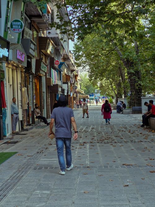 Free A vibrant urban street scene showing people walking and shopping along a tree-lined sidewalk. Stock Photo
