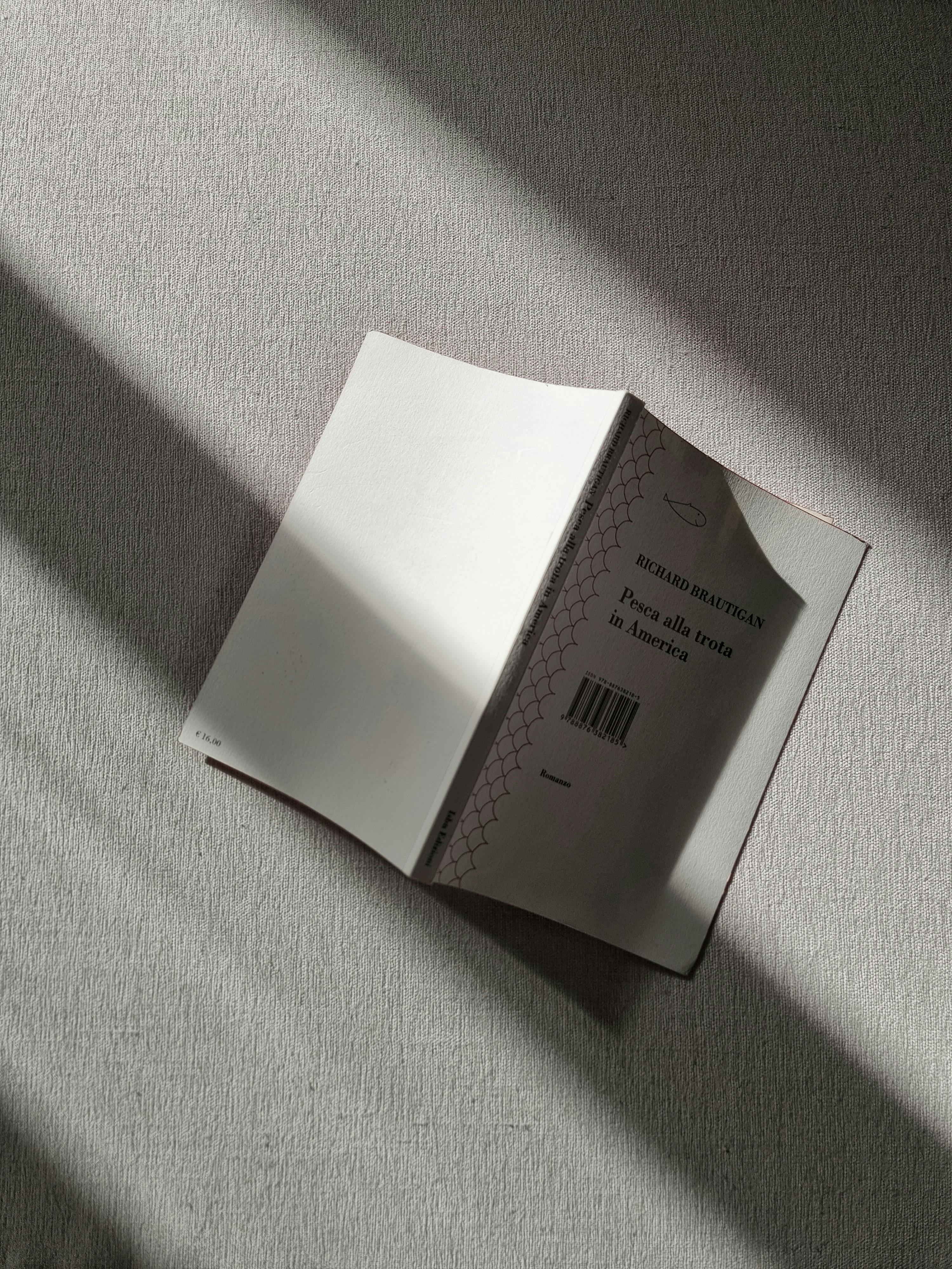 bezplatná Základová fotografie zdarma na téma čtení, denní světlo, design Základová fotografie